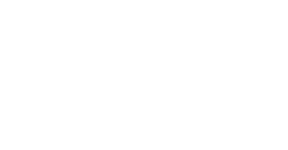 Pavo logo